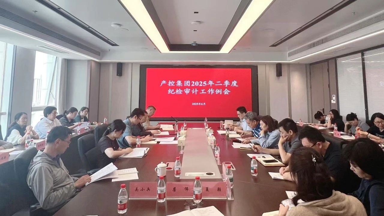 產(chǎn)控集團(tuán)組織召開2025年二季度紀(jì)檢、審計(jì)工作例會(huì)